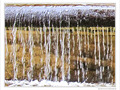Oh�! Eau�! -- 23/08/10