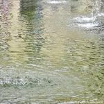 Ronds dans l'eau -- 13/09/09