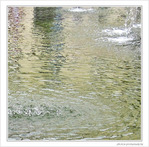 Ronds dans l'eau -- 13/09/09