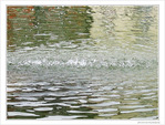Petit deviendra grand -- 12/11/09