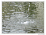 Une goutte dans l'oc�an -- 28/10/09