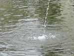 Une goutte dans l'oc�an -- 28/10/09