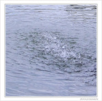 Oh�! Fra�cheur�! -- 03/09/09
