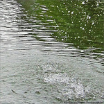 S'avancer -- 18/09/09
