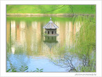 Reflets printanniers -- 26/04/05