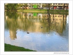 Paisible -- 29/04/05