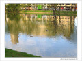 Paisible -- 29/04/05