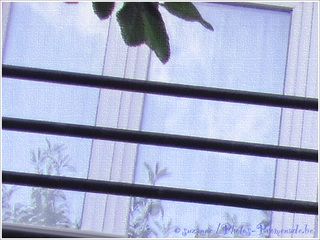 Transparence vitr�e