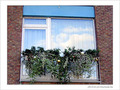 Les f�tes se prolongent�! -- 04/02/05
