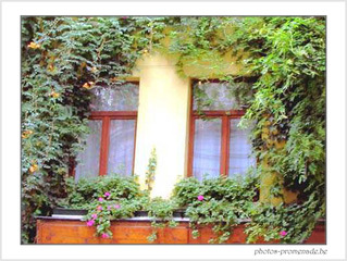 Le repli ... f�erisette