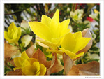 Le temps se v�t de broderies -- 18/05/10