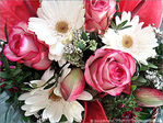 Bouquet de printemps -- 06/05/08