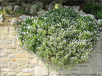 Blanche cascade -- 05/05/09