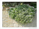 Blanche cascade -- 05/05/09