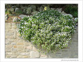 Blanche cascade -- 05/05/09