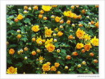 Pouss�es par le vent d'automne -- 23/10/08