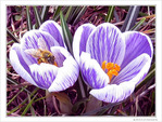 Un recommencement -- 26/03/10