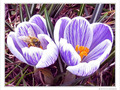 Un recommencement -- 26/03/10