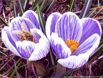 Un recommencement -- 26/03/10