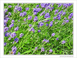 T�tes � droite -- 23/06/09
