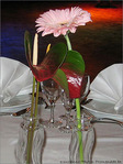 T�te � T�te -- 25/04/07