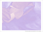 Au Vent l�ger