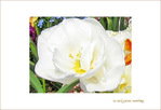 Fleur papier crépon blanc -- 29/04/09
