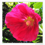 Me voil� par�e -- 16/09/09