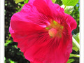 Me voil� par�e -- 16/09/09