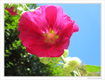 Au vent d'�t� -- 17/09/09