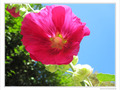 Au vent d'�t� -- 17/09/09