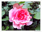 L'important c'est -- 17/06/10