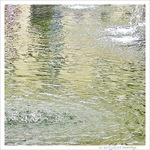 Ronds dans l'eau -- 13/09/09