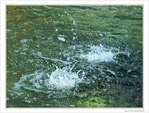 Plouf plouf -- 08/09/09