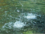 Plouf plouf -- 08/09/09