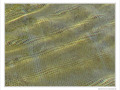 Texture -- 01/09/10