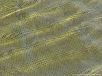 Texture -- 01/09/10