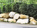 Pierre par pierre ... on construit�! -- 25/11/06