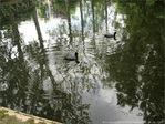 Si on Jouait � celui qui fait le plus de Ronds dans l'Eau�? -- 30/08/12