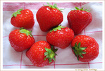 A la Pentecôte, fraises on goûte -- 21/06/11