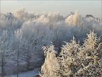 Matins givr�s -4- -- 23/01/08