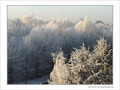 Matins givr�s -4- -- 23/01/08
