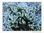 Givre sur la ville -2- -- 09/02/08