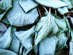 Givre sur la ville -3-