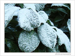 Blanc comme givre -3- -- 11/02/08