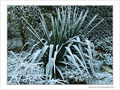 Blanc comme givre -4- -- 09/02/08