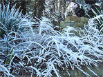 Blanc comme givre -5- -- 05/02/08