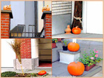 Citrouille? Potiron? -- 31/10/04