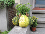 D�cor de saison -- 10/11/10