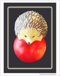 H�risson mignon -- 30/05/09